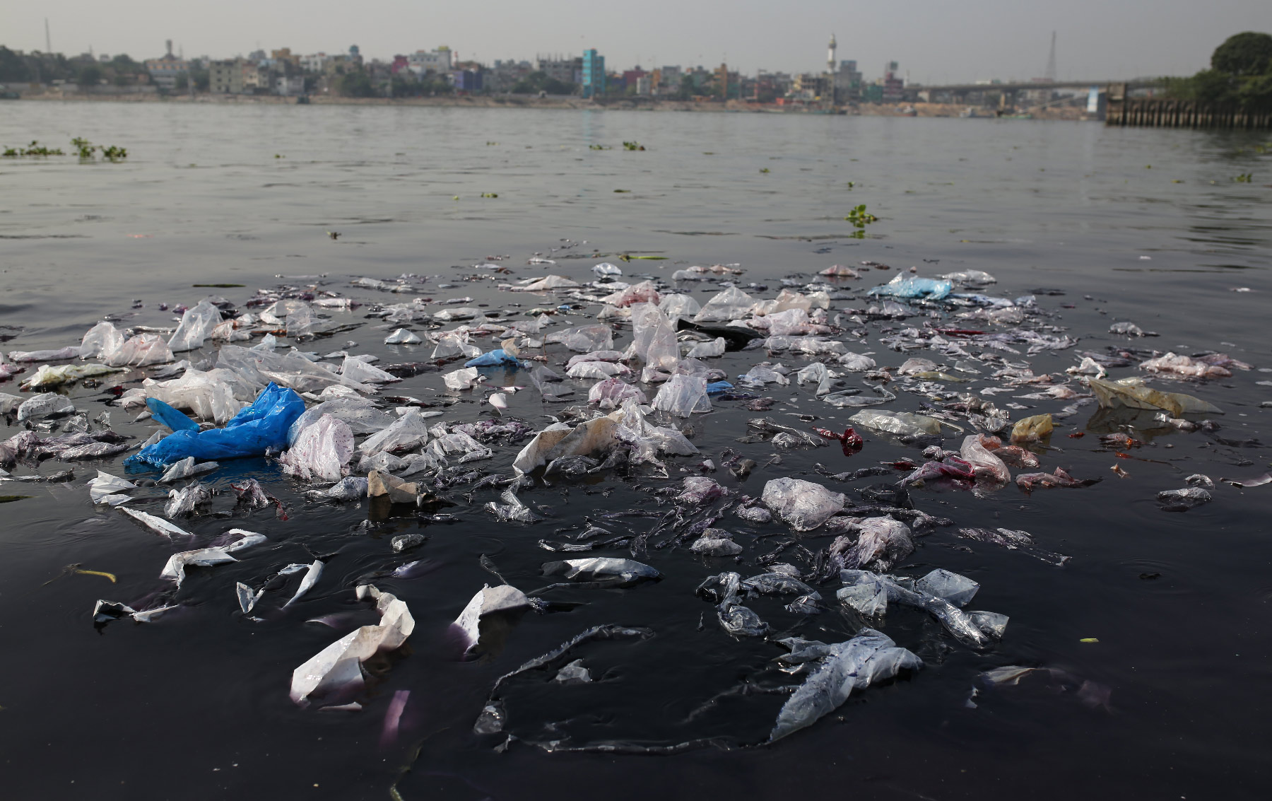 useful description of image if informative and not decoration only.